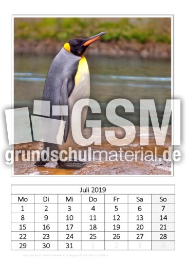 Juli_Königspinguin.pdf